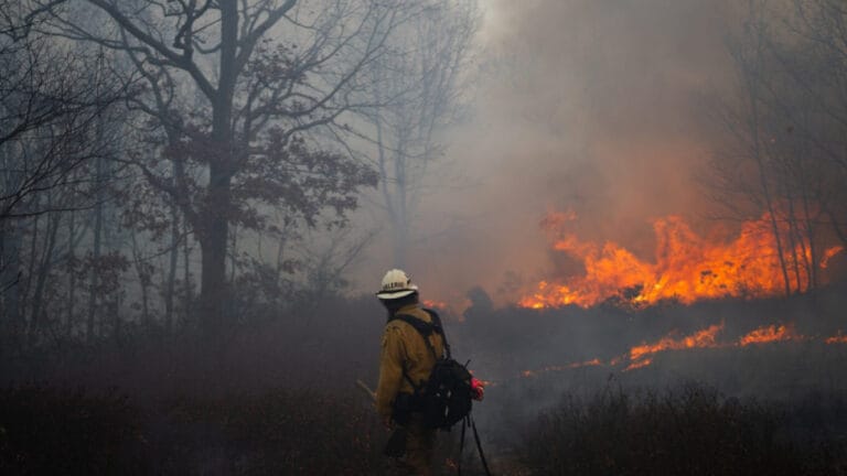 New Jersey’de orman yangını! Evler tahliye edildi