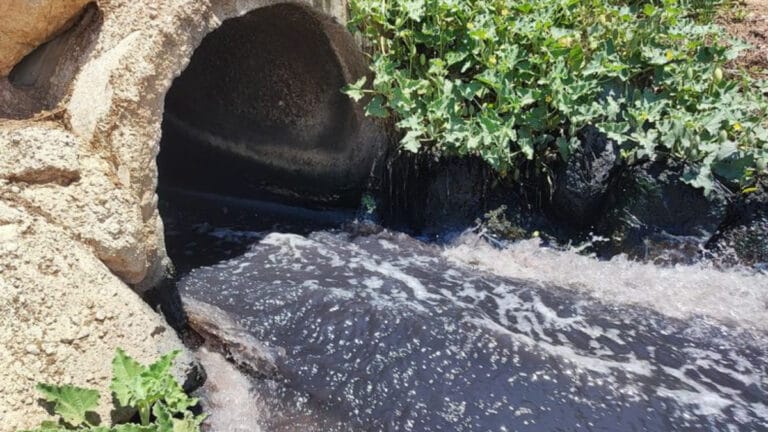 Ceyhan Nehri kirlilik nedeniyle köpürdü