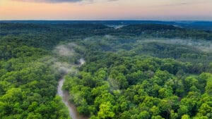 Bilim insanları Amazon yağmur ormanları kurursa ne olacağını açıkladı