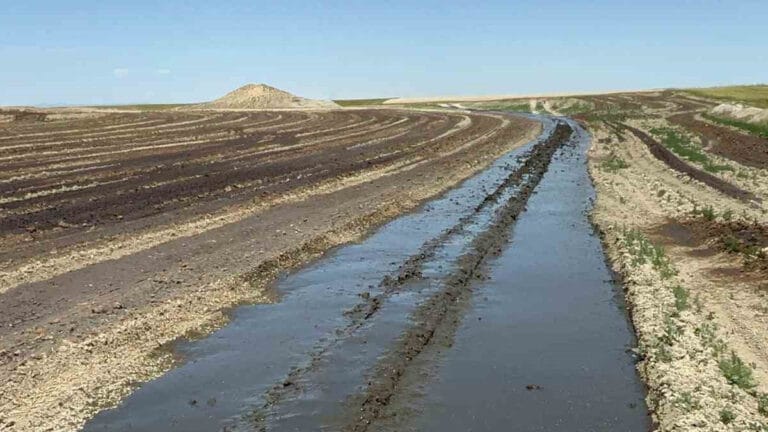 Biyogaz enerji üretimi atıklarını tarlaya döken firmalara 3 milyon TL ceza