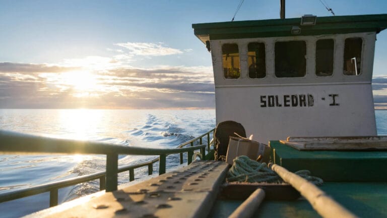 AB ve 6 üye devletten açık denizlerin korunmasına yönelik BM anlaşmasına onay