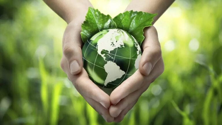 Çevre Haftası Nedir? Türkiye Çevre Haftası Etkinlikleri ve Katkı Yolları