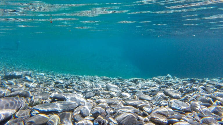 Okyanusun her katmanında mikroplastik bulundu