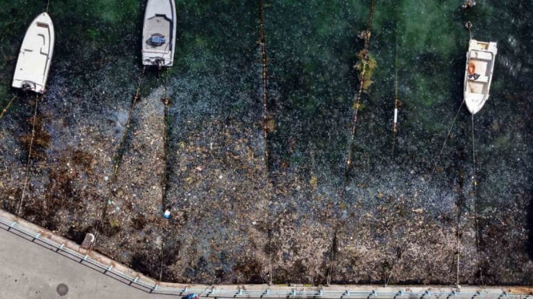 İstanbul Boğazı’ndaki kirlilik havadan görüntülendi