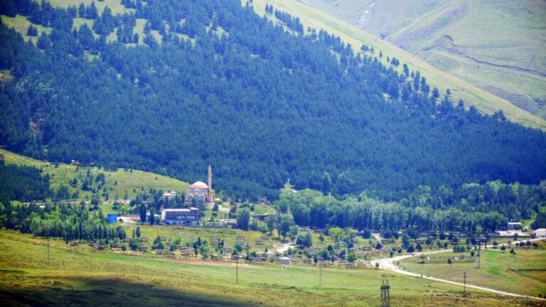 Erzurum Valiliği’nden orman alanları, ağaçlandırma, erozyon alanı emri