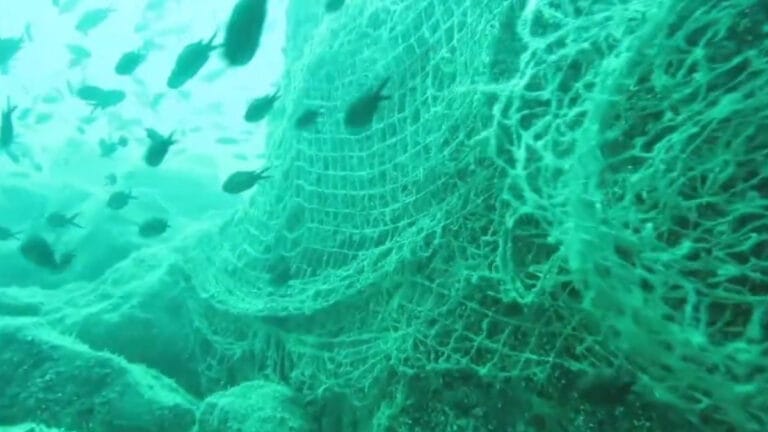 Hayalet ağlarla kaplandı! Karadeniz Avrupa’nın en kirli denizi