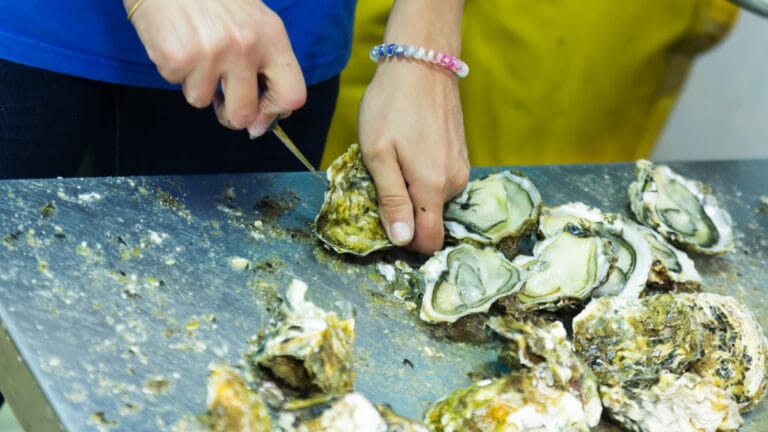Tatlı su inci midyesi, yok olan yaşam alanı nedeniyle tehdit altında