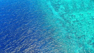 Bilim insanları uyardı: Okyanusların kararması deniz ekosistemini tehdit ediyor