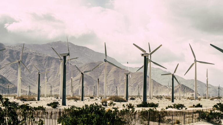 ABD’li yeşil enerji firmaları, federal fon kesintilerine hazırlanıyor