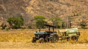 Avrupalı çiftçiler yüzyılın en kurak baharıyla mücadele ediyor