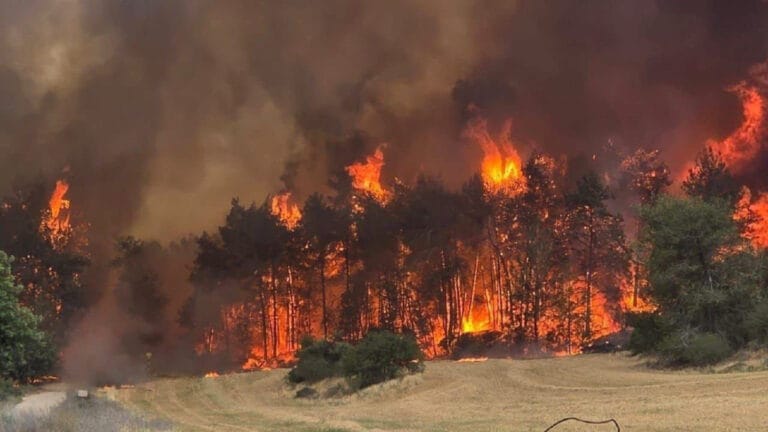 Kudüs ile Tel Aviv arasında yangın! 12 bin dönüm yandı! 7 bin kişi tahliye edildi