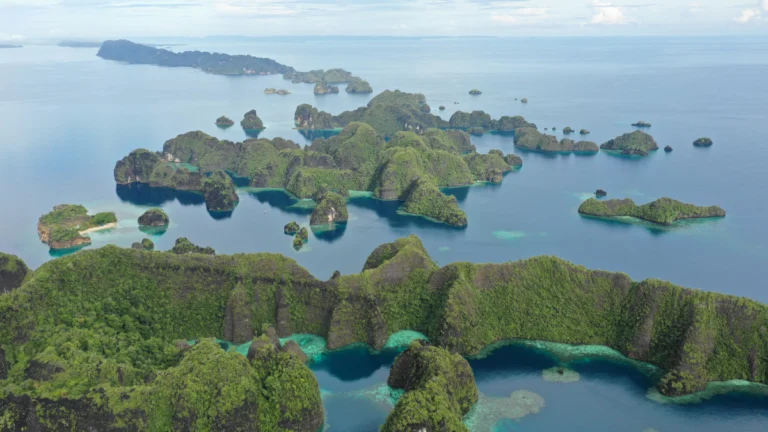 Elektrikli araçlar için nikel madenciliği “denizlerin Amazonu” Raja Ampat’ı yok ediyor