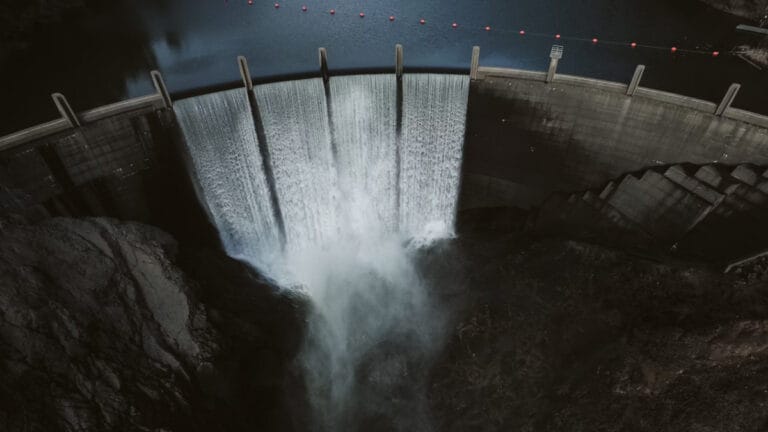 Barajların binlerce tür üzerindeki etkisi tespit edildi