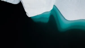 Deniz buzundaki erime, ışık dengesini değiştiriyor: Su altı ekosistemleri tehdit altında