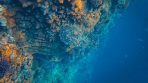 Okyanuslar 1,7 milyar atom bombasına eşdeğer ısı emiyor