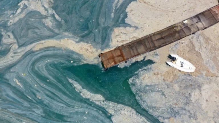 Müsilaj Marmara Denizi’ne yerleşti! Bundan sonra ne yapılabilir?