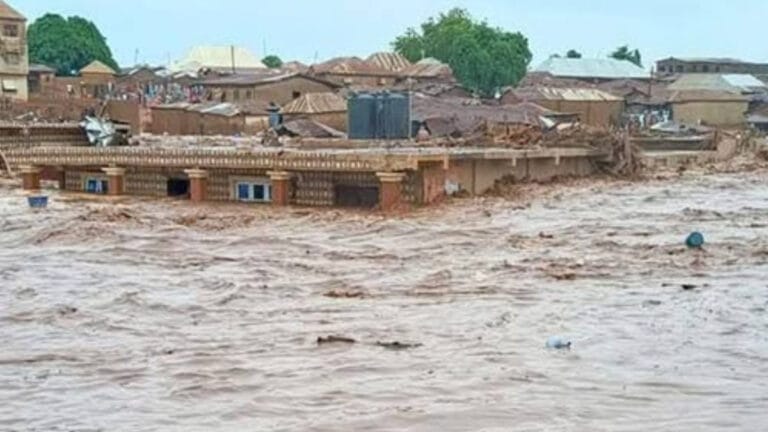 Nijerya’daki yıkıcı sel felaketinde 700’den fazla kişinin öldüğü tahmin ediliyor