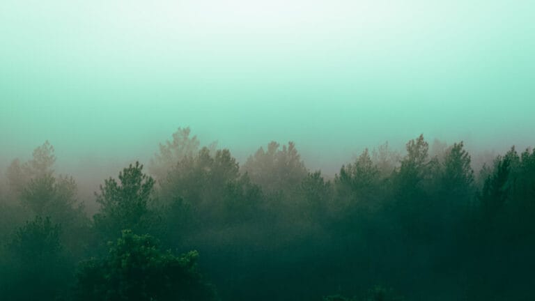 1 milyar yıl içinde atmosferdeki oksijen seviyesi düşecek