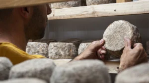 İklim değişikliği peynirin tadını, besin değerini ve kalitesini etkiliyor