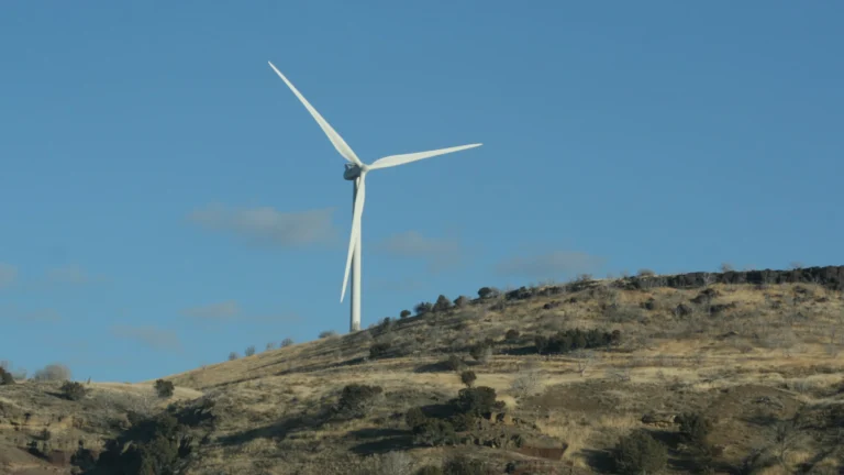 Türkiye’nin rüzgar enerjisi kurulu gücü son 10 yılda yüzde 177 arttı