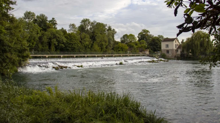 Paris, kirlilikten daha iyi korumak için Seine Nehri’ne tüzel kişilik kazandırmayı planlıyor