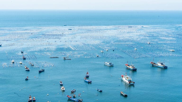 AB, koruma altındaki alanlarda dip trolü avcılığı konusunda yeni bir yasal işlemle karşı karşıya