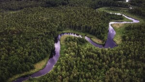 Brezilya’daki yeni kalkınma yasası Amazon Ormanlarını tehdit ediyor: BM uzmanından uyarı