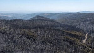 Bursa Harmancık’taki yangını dördüncü gününde söndürüldü