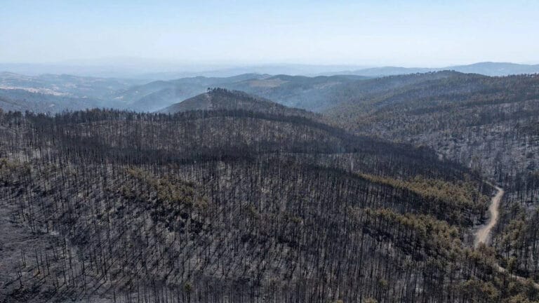 Bursa Harmancık’taki yangını dördüncü gününde söndürüldü