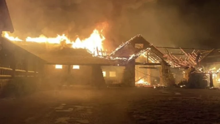 ABD’de Büyük Kanyon Milli Parkı’nda çıkan orman yangını bir günde yaklaşık 20 kat büyüdü