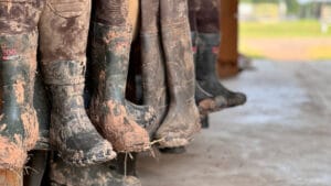 Microsoft, devasa karbon ayak izini azaltmak için insan atıklarını kullanacak