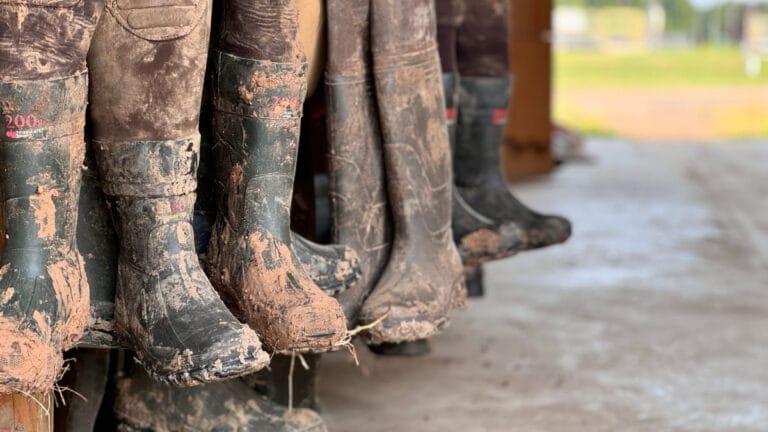 Microsoft, devasa karbon ayak izini azaltmak için insan atıklarını kullanacak