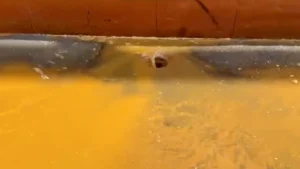 Marmara’yı kirleten tersaneye 3.7 milyon lira ceza