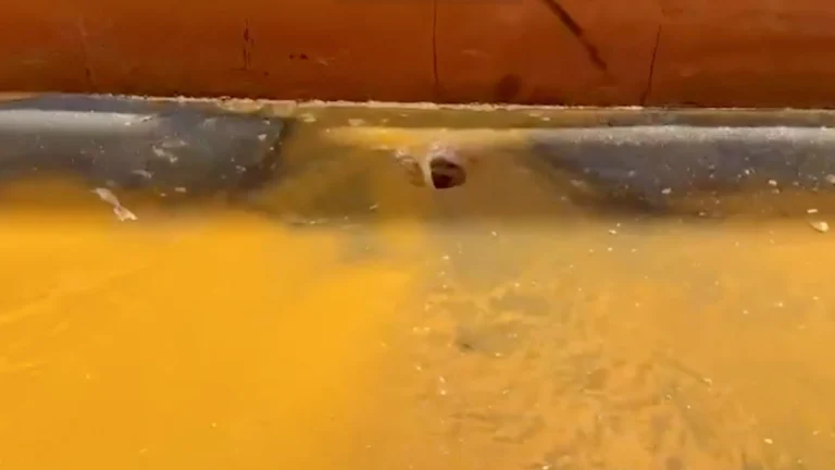 Marmara’yı kirleten tersaneye 3.7 milyon lira ceza