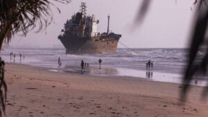 Küresel petrol sızıntıları alarm veriyor: %99.5’i bildirilmiyor, deniz yaşamı tehdit altında