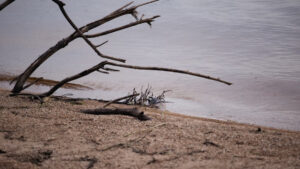 Küresel su krizi derinleşiyor: Artan sıcaklıklar tatlı su kaybını hızlandırıyor ve deniz seviyesini yükseltiyor
