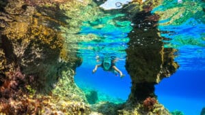 Türkiye’nin “Denizlerin Ormanları: Mercanlar” projesi başladı: Siyah ve taş mercanlar koruma altında