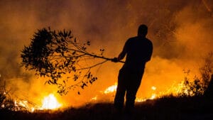 Avrupa’da orman yangınları Lüksemburg büyüklüğünde bir alanı yok etti