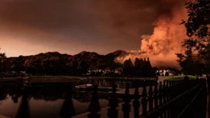 İklim değişikliği orman yangınlarını nasıl körüklüyor?