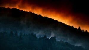 Bakan Yumaklı’dan “orman yangını” uyarısı: Risk en üst seviyede!