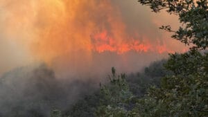 Sakarya’dan Bilecik’e sıçrayan orman yangınıyla mücadele sürüyor: 4 köy tahliye edildi
