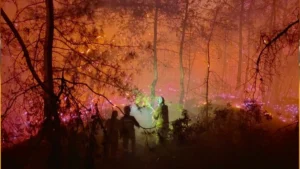 Orman yangınlarının önlenmesi için toplumsal farkındalığın artırılmasını istedi