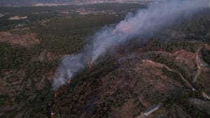 Sıfır Atık Vakfı’ndan orman yangınları uyarısı: ❝Atıklar yangını tetikliyor❞