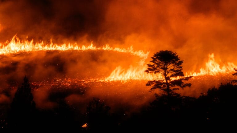 Akdeniz ve Avrupa yangınlarla boğuşuyor: Sıcak hava dalgası riskleri artırıyor
