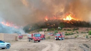 Türkiye genelinde orman yangınlarıyla mücadele devam ediyor: Antalya, Karabük, Ankara ve Mersin’de son durumlar