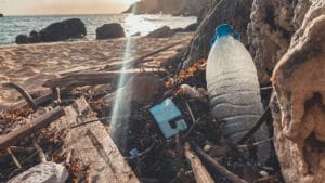 “Plastiksiz Temmuz” raporu: Tek kullanımlık plastikler doğayı, insan sağlığını ve ekonomiyi tehdit ediyor