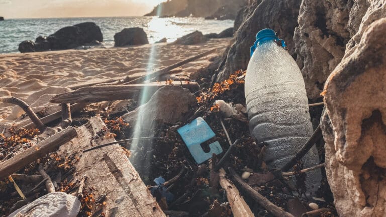 “Plastiksiz Temmuz” raporu: Tek kullanımlık plastikler doğayı, insan sağlığını ve ekonomiyi tehdit ediyor