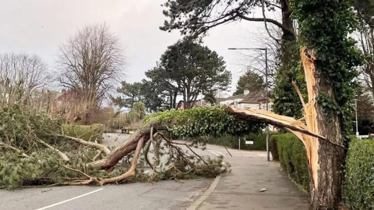 Meteoroloji’den kuvvetli rüzgar uyarısı