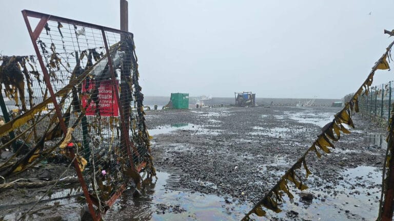 Rusya’daki 8,8 büyüklüğündeki deprem neden daha fazla tsunami hasarına yol açmadı?