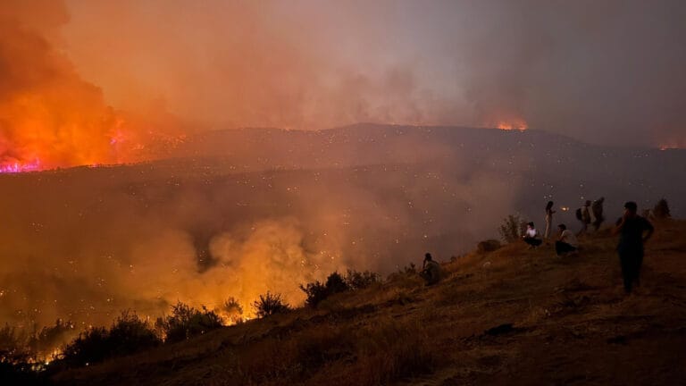 Türkiye’de orman yangınlarıyla mücadele devam ediyor: Eskişehir, Bilecik, İzmir, Sakarya, Karabük ve Manisa’da son durum